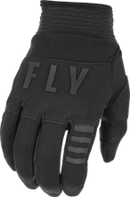 Load image into Gallery viewer, FLY RACING 2022 F-16 GLOVES