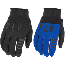 Load image into Gallery viewer, FLY RACING 2022 F-16 GLOVES
